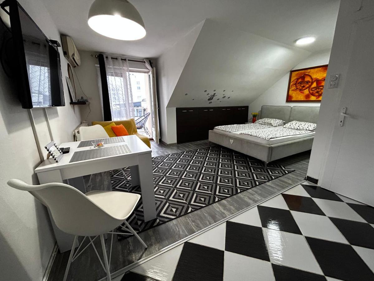 Little penthouse Vanja Novi Sad Bagian luar foto